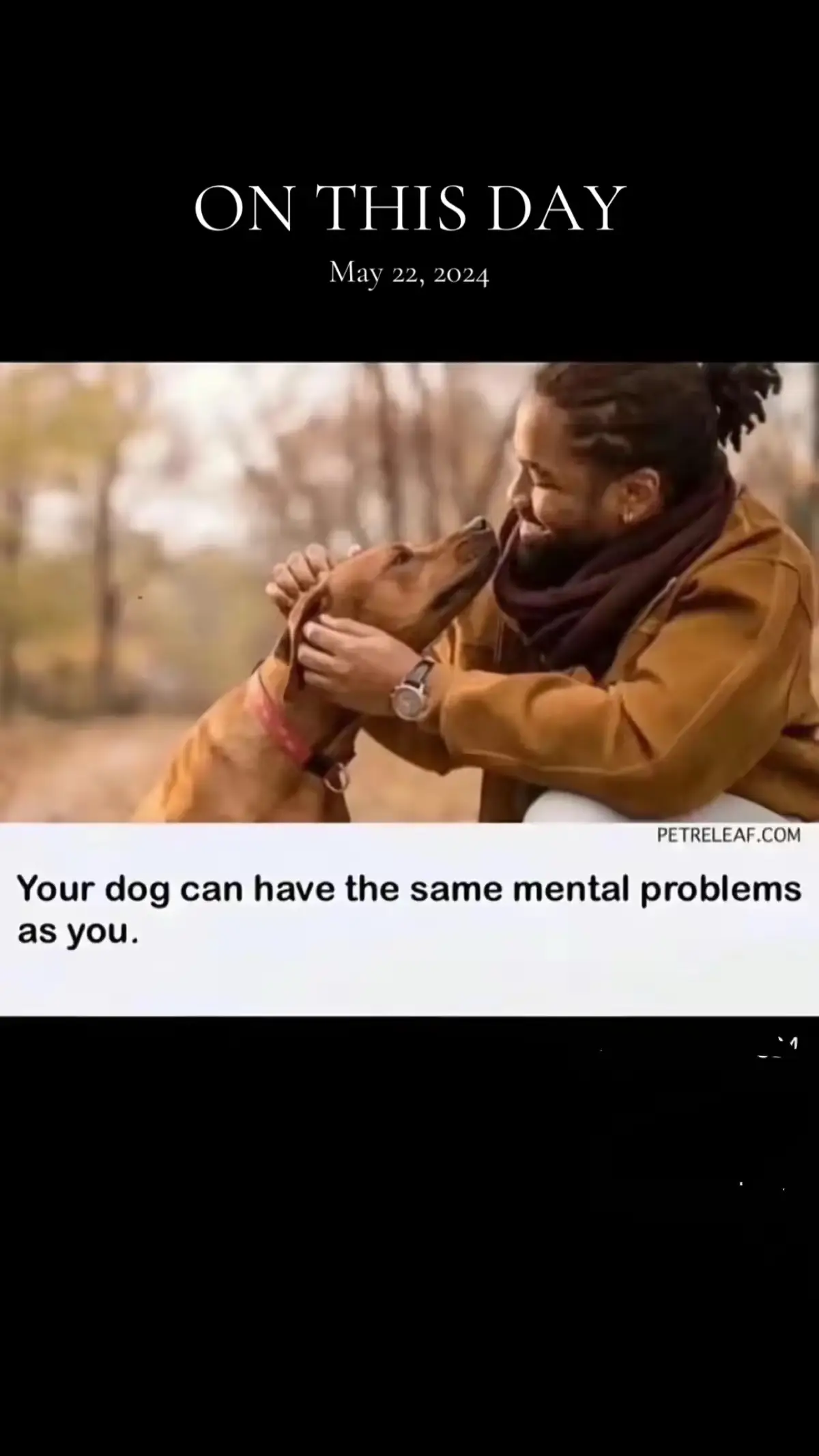 #onthisday #dogsoftiktok #trending #breakingbenjamin 