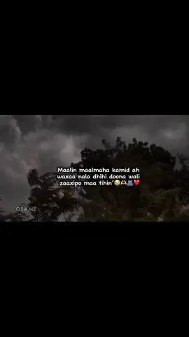 Mention soo dheh zhpkas#writter #saaxiptinimo #💕💕💕 