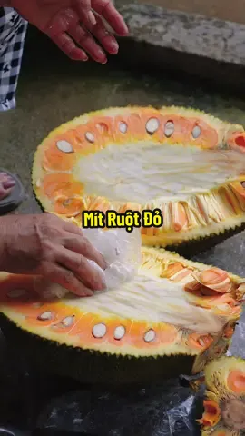 Mời Mọi Người Ăn Mít Ruột Đỏ indo Nha #hienonha 