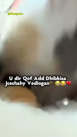 #udir hee💋😂🤤#AfricanMovies #ciyalxamar #viewsproblem💔😔 #viral #cupcut #writter_phazzy #somalikenyan🇸🇴🇰🇪🔥👸 
