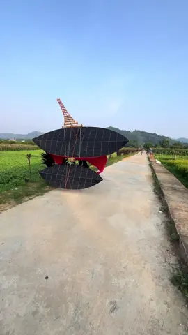 Được hôm gió đẹp 😆#xuhuongtiktok #xhtiktok #xh #dieusaovietnam #dieusao #dieumebongcon #saodanbo 