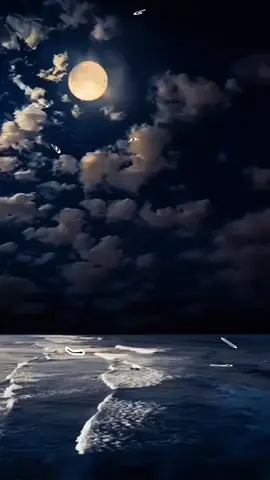 #انا_لا_اتغير_على_احد  #منشوراتي_للعقول_الراقية_فقط  #منشوراتي_لاتمثلني_مجرد_ذوق  #يسعدلي__اوقاتڪۘم_حبايبي♥️🕊🙋‍♀️  #لايك_متابعه_اكسبلور_كومنت  #تصميمي🌚 #CapCut 