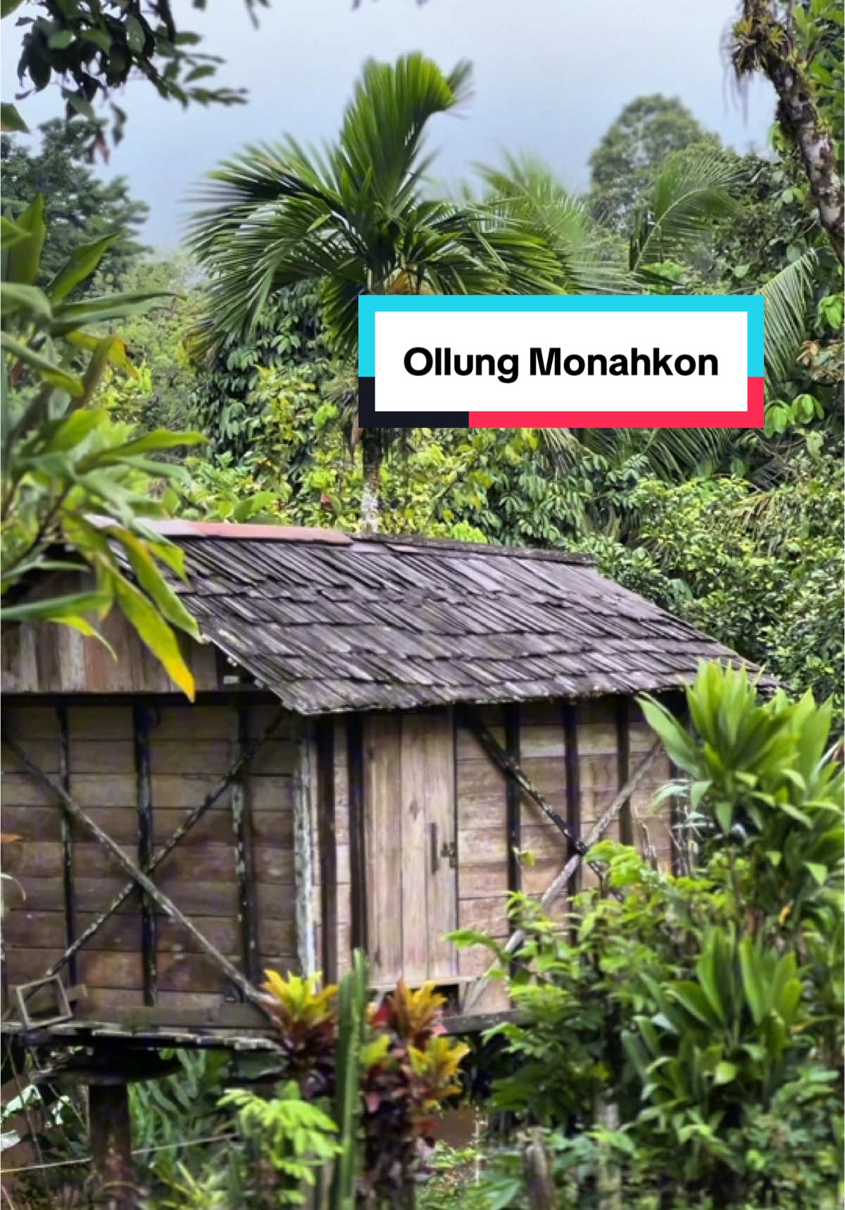 Masap Kapung Ollung Monahkon Mengunjungi Kampung Menakon, Kec Ambalau, Kab Sintang. #dayak #uutdanum #dohoi 