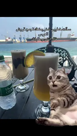 🥲🥲💔