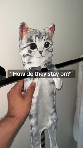 They got all the kitties #towel #handtowel #kitty #cat #pet 