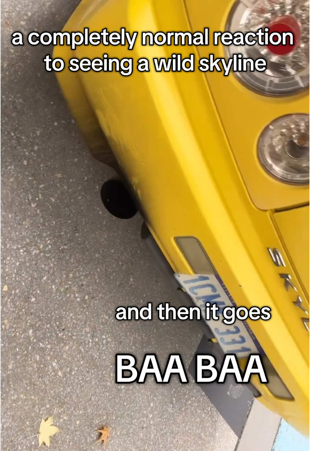 miata girl is back… with a skyline?? behold, autism. the car kind. #cargirl #miata #miatagirl #skylinegtr #skyline #fyp #explore #tiktok