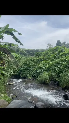 NIH MENTAHAN BUAT AFFILIATE,BANTU TEMBUSS 600+++🔥🔥🔥#affiliatetiktok #affiliatepemula #fyp 