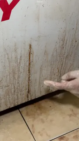 Xem kết quả sau khi dùng Saiza nha ạ#saiza #taydanang #taydanangsaiza #trending #viral