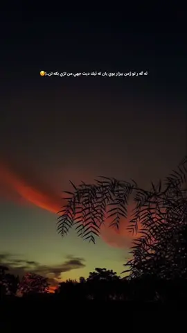 @🌚🤍 #گوهداربـــــــــــە🤍 😅🤍…