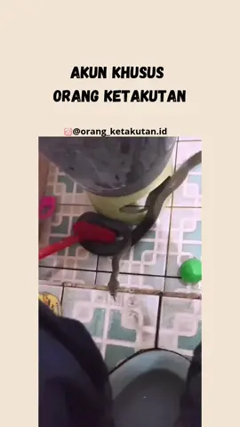 Kang tolong kang😂 🗣️ Support 10k followers ya guys🙏 #ketakutan #ketakutanlucu #takut #takutbanget #orangketakutan #kaget #kagetbanget #videolucu #video #videolucubanget #lucu #lucubanget #lucuabis #luculucuvideo #trending #trendingnow #tren #fyp #fypシ #foryoupage