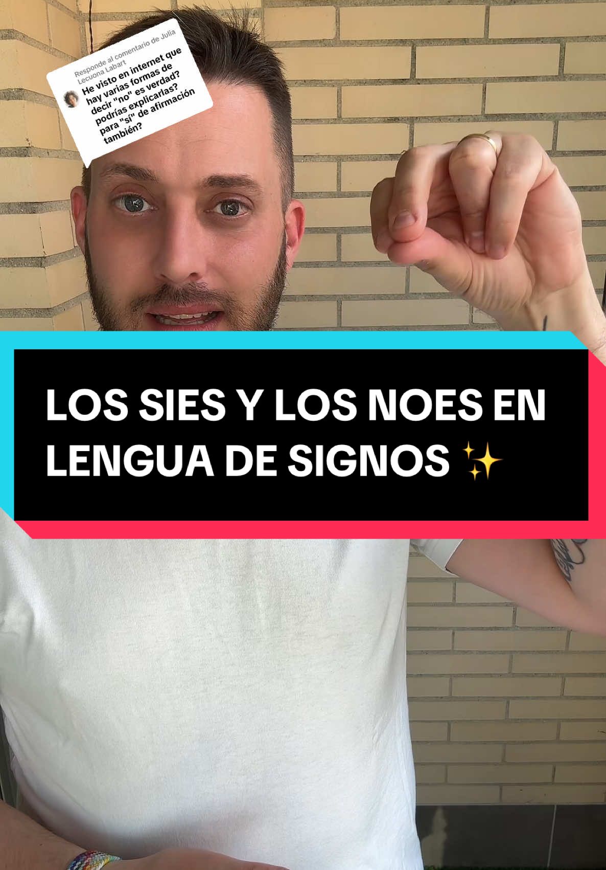 Respuesta a @Julia Lecuona Labart  LOS SIES Y LOS NOES EN LENGUA DE SIGNOS ✨✨ #lenguadesignosespañola #AprendeConTikTok #aprenderentiktok #lenguajedeseñas #españa🇪🇸 #españa #mexico #mexico🇲🇽 #mejico #lse #LSE #lentejas #parati 