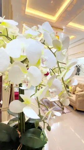 Haaai selamat malam🥰🫶#inspirasirumahminimalis #ruangtamu #fyp 