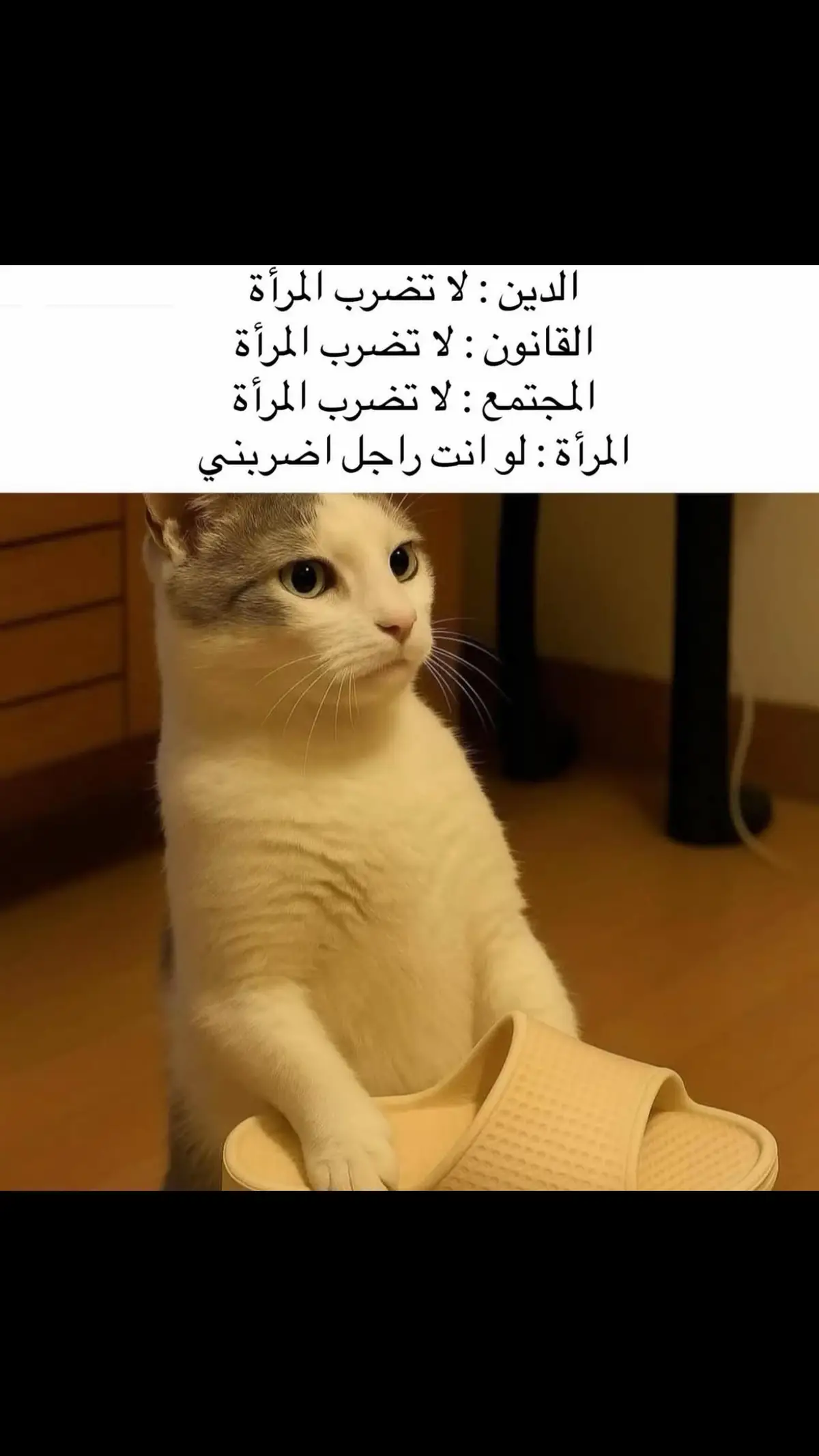 #المملكه_العربيه_السعوديه🇸🇦 #اكسبلورexplore 🌹❤️