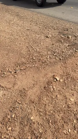 #سيياف #fyp #اكسبلور #explore #هشتاق #شاص #شاص_سلفر_٢٢ #بريمي #مالي_خلق_احط_هاشتاقات #الهشتاقات_للشيوخ #سموك_سلفر #سلفر #الشعب_الصيني_ماله_حل😂😂 