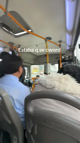 Como él no tiene examen Tmr #peru🇵🇪 #lima #fyp 