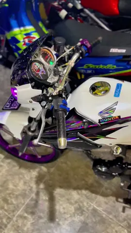 ora tiger ora oke🤍🔥#fyp #tigeralbino #tiger #tigerpece #tigergank 