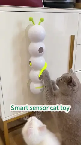 🐛⚡ **Self-play mode: ACTIVATED!** 🤖😻 Let your kitty chase, pounce, and *obsess* over the ** Smart Caterpillar Toy**! This suction-cup-powered wiggler uses *motion sensors* to dart and dance—keeping cats entertained for hours (even when you’re busy!). 🔋🎉  👉 **SWIPE** to see it in action—*chaos guaranteed*!  ✨ **Smart sensor tech** = endless unpredictable moves!  ✨ **Rechargeable** = no battery hassle.  ✨ **Suction cup base** = stays put during wild play!  💬 Comment “CATERPILLAR” to treat your cat to this spring’s *must-have* toy! 🌸  #SmartCatToys #allforpaws #CaterpillarChaos #CatLovers #SelfEntertainment #PetTech #PlaytimePerfection  —  **P.S.** Warning: May cause *extreme* zoomies, midnight “hunts,” and a cat demanding CEO status. 😼🌙