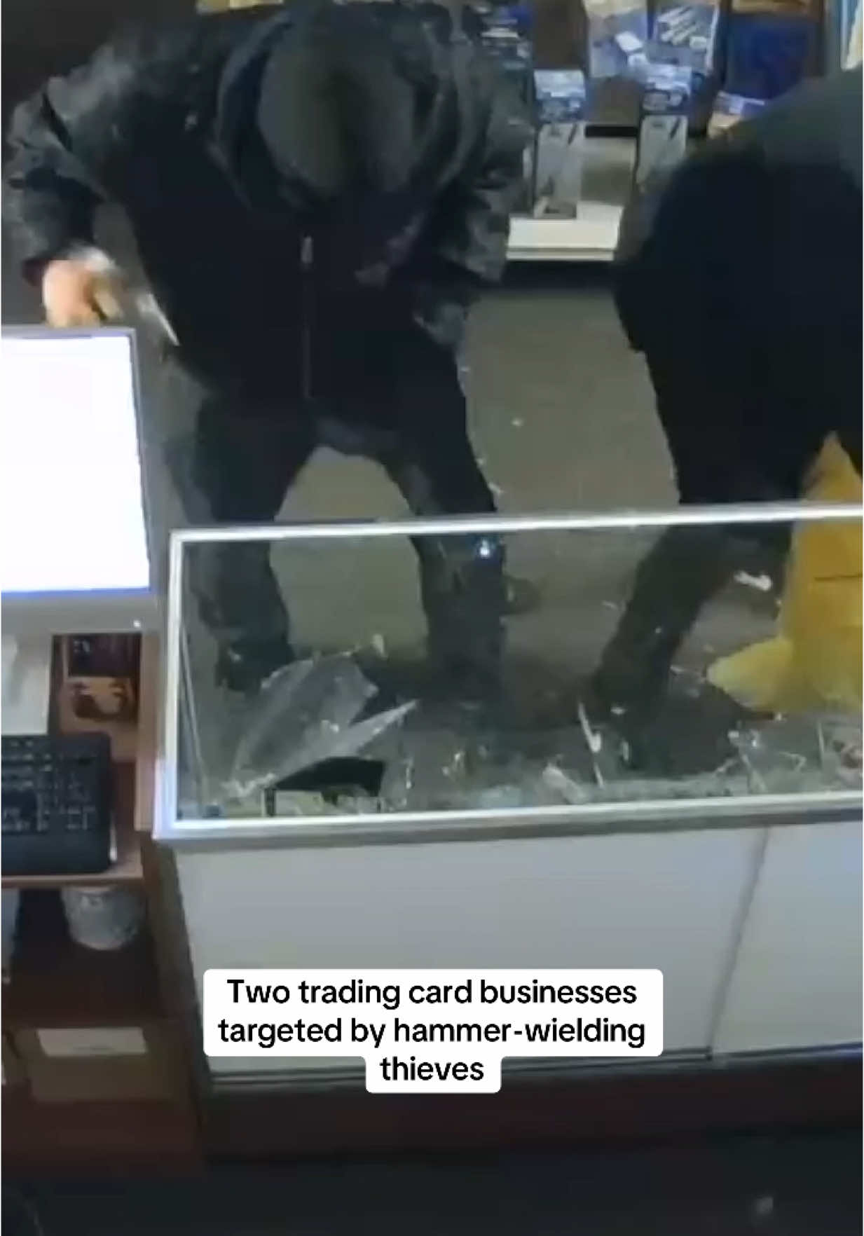 Two metro Detroit trading card shops were hit by hammer-wielding thieves in similar break-ins just days apart, with the criminals specifically targeting Pokemon cards worth thousands of dollars.