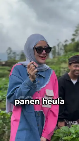 panen Hela  yang belum folow akun ini folow gays #viralvideo #viral #trend #cepsanud #pyp 