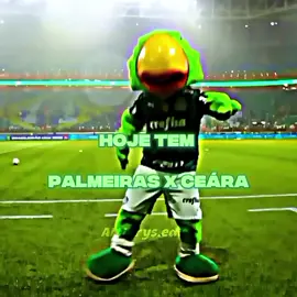 HOJE TEM PALMEIRASSSSSSS 💚🤍
