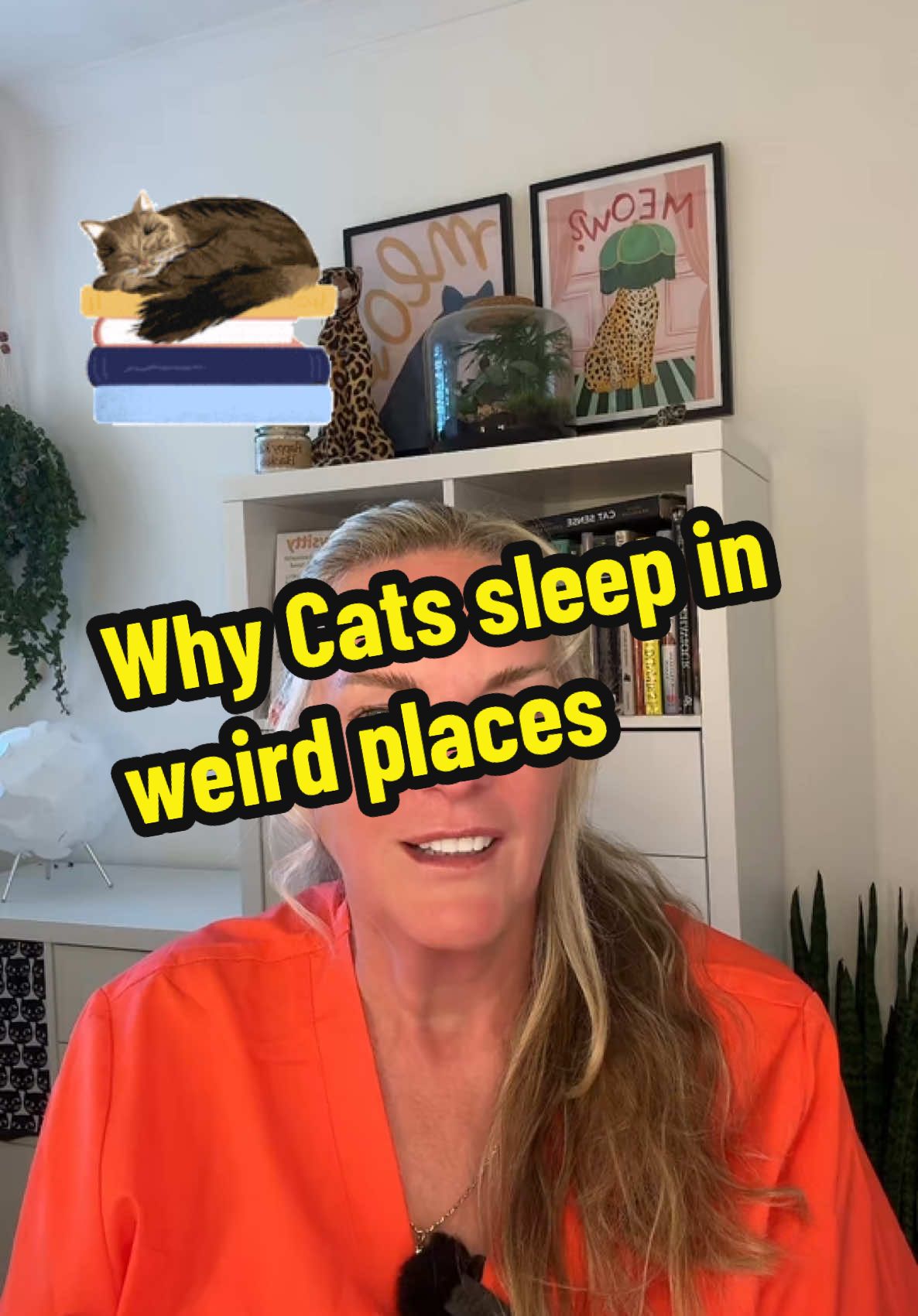 Why Does My Cat Sleep in Weird Places  Comment the weirdest place your cat has napped — mine loves the laundry basket! #catbehavior #weirdcats #catnaps #catsoftiktok #funnycats #catparents #understandingcats #felinefriends #petparentlife #happykitty #catbehaviour #kittysitty 