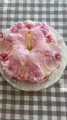 sunshineycakes on insta🌸