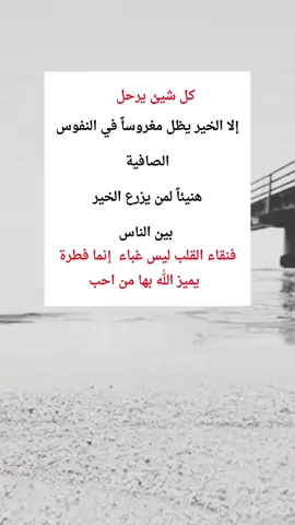 #اكسبلور 