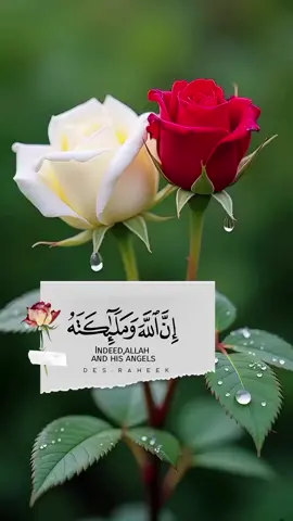 اللهم صل وسلم على نبينا محمد❣️ #ان_الله_وملائكته_يصلون_على_النبي_ #اللهم_صل_وسلم_على_نبينا_محمد  #الجمعة #اكتب_شيء_تؤجر_عليه🌿🕊 #الكهف_نور_مابين_الجمعتين 