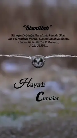 #hayırlıcumalar #hayırlıcumalar🌹🌺🌺🌷💖 #cuma #umut #yol #elhamdülillah #rabbim #cumamesajları #cumanız_mübarek_olsun🌹🕋🌹🕌🤲 #cumavideoları #güneş #dua #amin #aminyarobalallamin🤲🏻  #ufuk #🕊️ #💐 #🌻 #🌷 #🌞 #💫 #🖤🖤 #❣️ #🕌 #🕋📿🕌regay_islam🌼🦋🤲 #🌹🌹 #🤲 