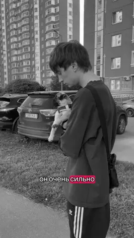 #роки #кириллроки #pug #fyp 