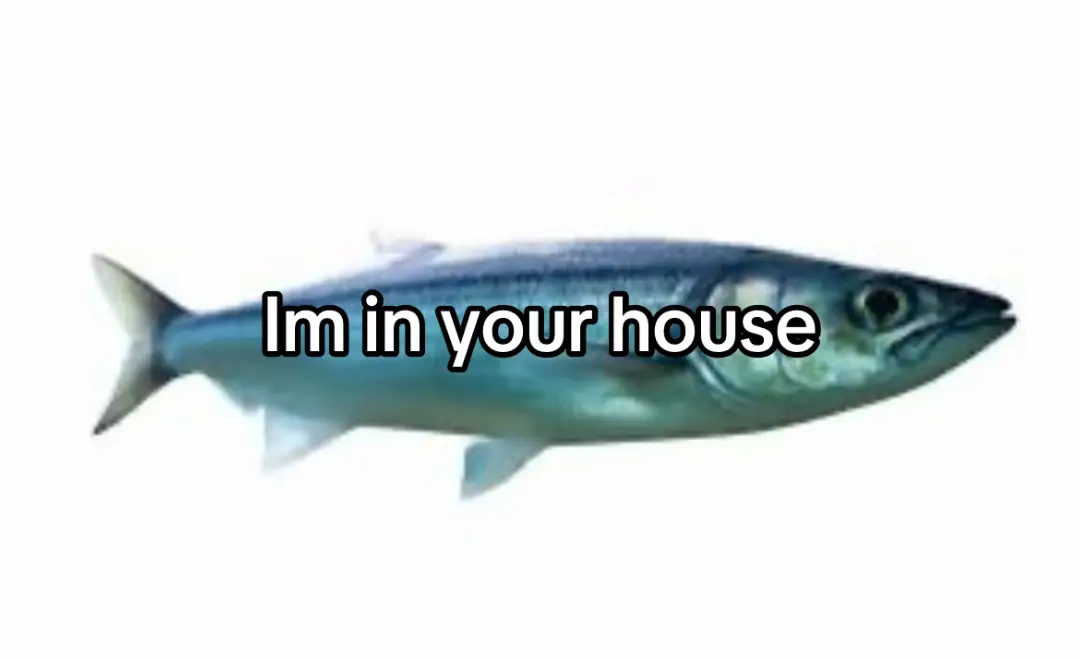Im in your house Im in your house Im in your house Im in your house Im in your house Im in your house Im in your house Im in your house Im in your house Im in your house Im in your house Im in your house Im in your house Im in your house Im in your house Im in your house Im in your house Im in your house Im in your house Im in your house Im in your house Im in your house Im in your house Im in your house Im in your house Im in your house Im in your house Im in your house Im in your house Im in your house Im in your house Im in your house Im in your house Im in your house Im in your house Im in your house Im in your house Im in your house Im in your house Im in your house Im in your house Im in your house Im in your house Im in your house Im in your house Im in your house Im in your house Im in your house Im in your house Im in your house Im in your house Im in your house Im in your house Im in your house Im in your house Im in your house Im in your house Im in your house Im in your house Im in your house Im in your house Im in your house Im in your house Im in your house Im in your house Im in your house Im in your house Im in your house Im in your house Im in your house Im in your house Im in your house Im in your house Im in your house Im in your house Im in your house Im in your house Im in your house Im in your house Im in your house Im in your house Im in your house Im in your house Im in your house Im in your house Im in your house Im in your house Im in your house Im in your house Im in your house Im in your house Im in your house Im in your house Im in your house Im in your house Im in your house Im in your house Im in your house Im in your house Im in your house Im in your house Im in your house Im in your house Im in your house Im in your house Im in your house Im in your house Im in your house Im in your house Im in your house Im in your house Im in your house Im in your house Im in your house Im in your house Im in your house Im in your house Im in your house Im in your house Im in your house Im in your house Im in your house Im in your house Im in your house Im in your house Im in your house Im in your house Im in your house Im in your house Im in your house Im in your house Im in your house Im in your house Im in your house Im in your house Im in your house Im in your house Im in your house Im in your house Im in your house Im in your house Im in your house Im in your house Im in your house Im in your house Im in your house Im in your house Im in your house Im in your house Im in your house Im in your house Im in your house Im in your house Im in your house Im in your house Im in your house Im in your house Im in your house Im in your house Im in your house Im in your house Im in your house Im in your house Im in your house Im in your house Im in your house Im in your house Im in your house Im in your house Im in your house Im in your house Im in your house Im in your house Im in your house Im in your house Im in your house Im in your house Im in your house Im in your house Im in your house Im in your house Im in your house Im in your house Im in your house Im in your house Im in your house Im in your house Im in your house Im in your house Im in your house Im in your house Im in your house Im in your house Im in your house Im in your house Im in your house Im in your house Im in your house Im in your house Im in your house Im in your house Im in your house Im in your house Im in your house Im in your house Im in your house Im in your house Im in your house Im in your house Im in your house Im in your house Im in your house Im in your house Im in your house Im in your house Im in your house Im in your house Im in your house Im in your house Im in your house Im in your house Im in your house Im in your house Im in your house Im in your house Im in your house Im in your house Im in your house Im in your house Im in your house Im in your house Im in your house Im in your house Im in your house Im in your house