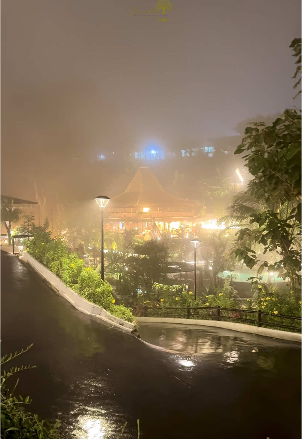 Kabutnya sejuk banget geeengs sumpahh 😭✨ For reservation you may contact our admin at +62 815-5333-2602 (Rooms/Villa and Resto) +62 896-6098-9757 (Events) . . . . . . #fy #fyp #fypage #foryou #foryoupage #plants #tanamanhias #syahdu #cafe #rain #hiddengem #coffee #food #kulineran #instagram #reelsviral #villa #bogorhits #bogorhits #bogor #puncakbogor #puncak #bogor #ciawipuncak #kulinerbogor #viral #viralindonesia #reels #reelsinstagram #kulineran #cafebogor #ciawi #instagram #reelsviral #trending #trendingreels #kabut #sejuk #healing 