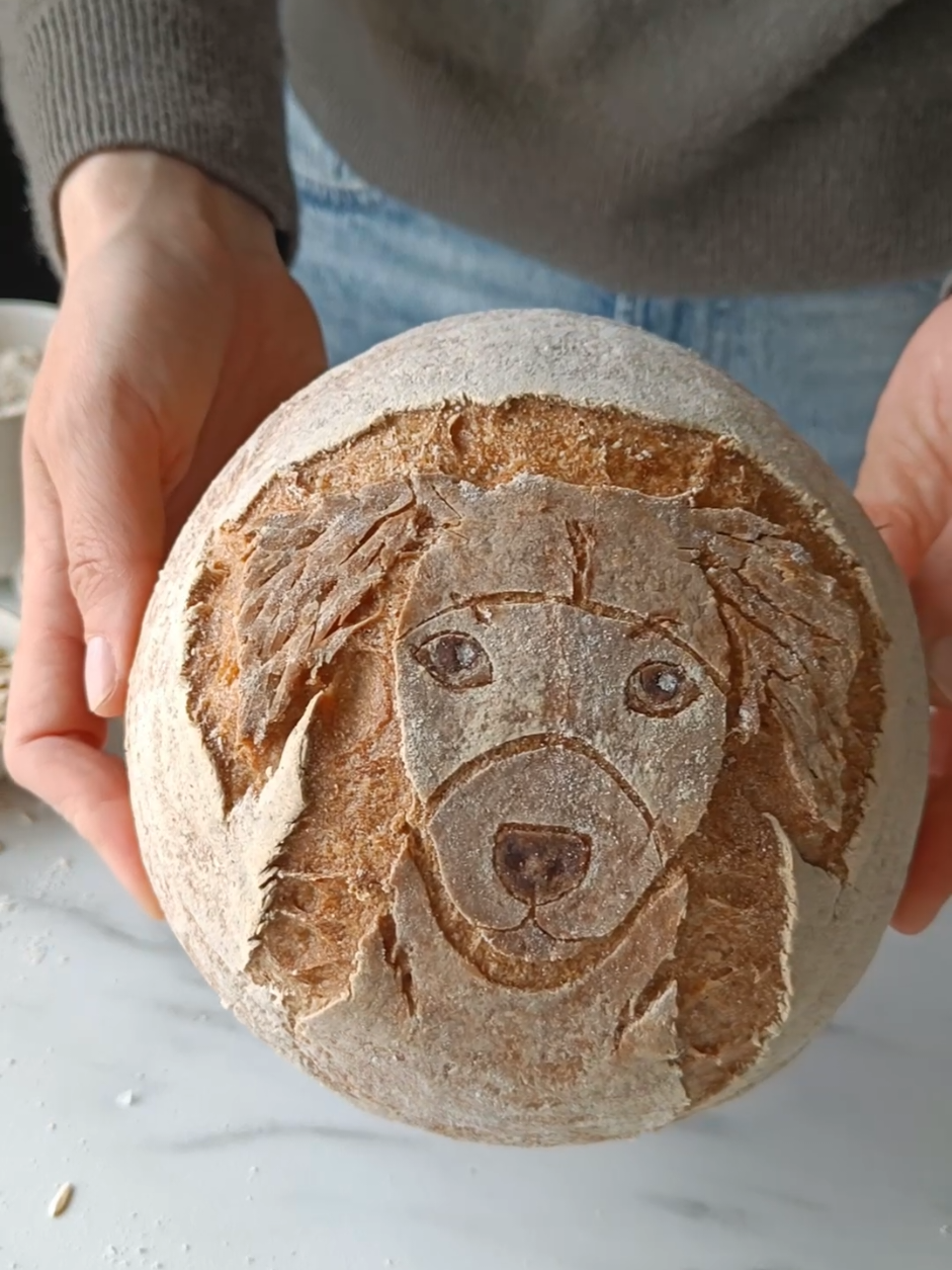 A tribute to the brave little dog Tiki – and to the kind-hearted humans and the dog Simon, doing their best to help ❤️ @Isabel Klee  #glutenfree #sourdough #breadart #sourdoughscoring  #rescuedog 