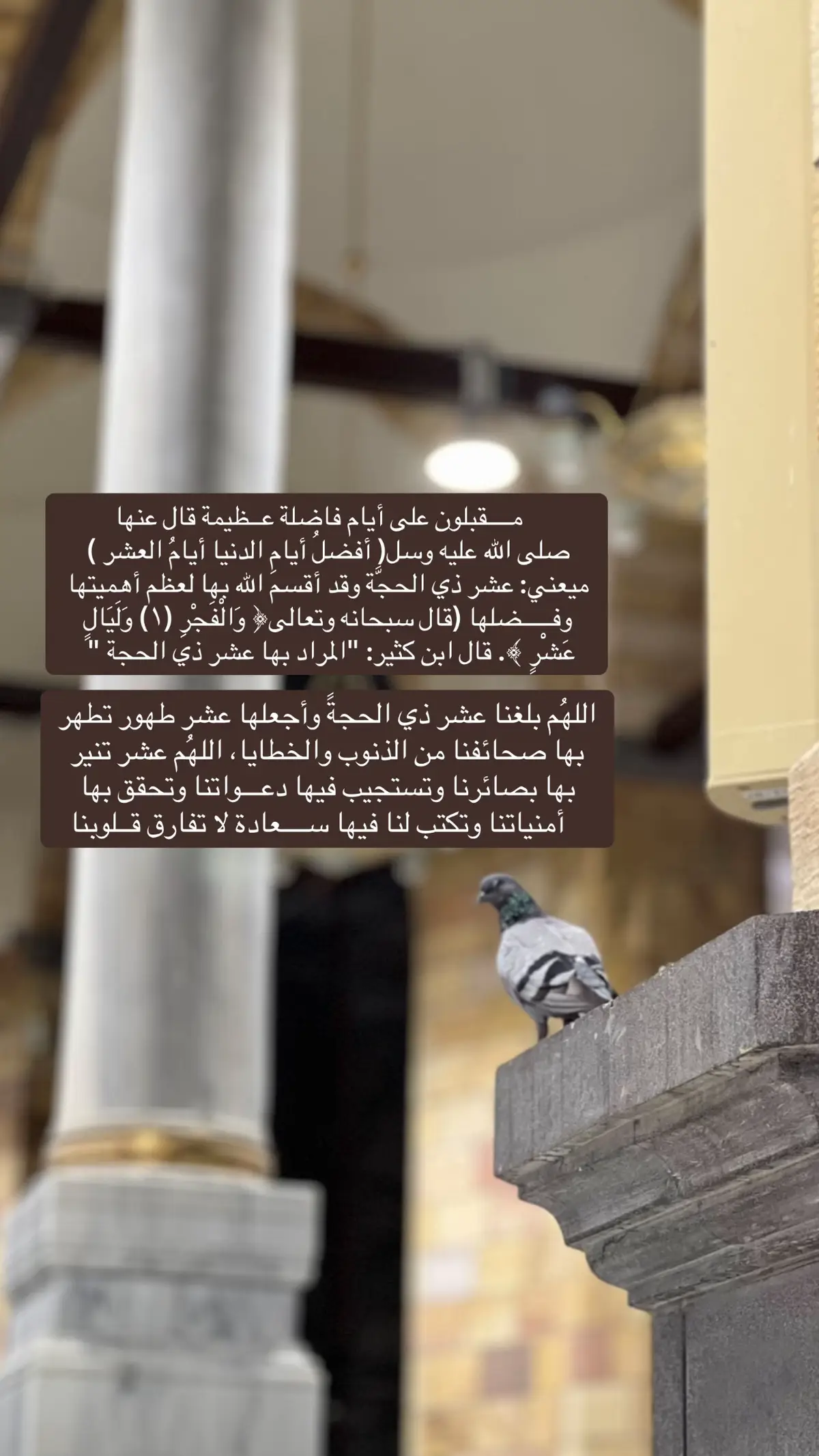 #عشر_ذي_الحجة #سبحان_الله_وبحمده_سبحان_الله_العظيم #مكه_المكرمه #افضل_ايام_الدنيا_عشر_ذي_الحجه #استغفرالله_العظيم_واتوب_اليه #سعد_العتيق #لااله_الا_الله 