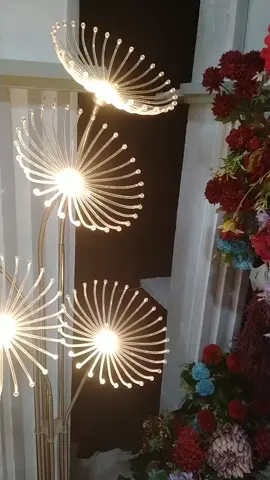 Lampu Dekorasi Pelaminan  #lampudekorasi #lampuhiaswedding #lampustandingparabola #lampuhiasestetik 