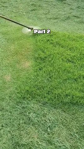 My Dad Threw Me Out As A Teen For A Lie By My Stepmom's Lies. Now He Wants My House For My SisterBut What Revealed Left Them Speechless.  #reddit #fyp #foryou 