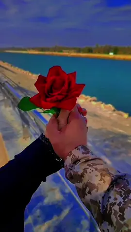 @تـاᬼج👑⑅⃝ـالملوᬼ👑ᬼك♥H⍣⃟ـᬼW 