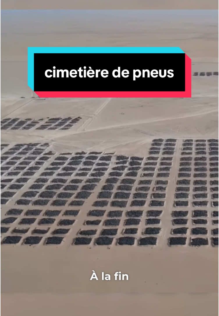 Ce que le Koweït a fait avec ses pneus va te surprendre #ecologie #lesaviezvous #pourtoi #foryoupagе 