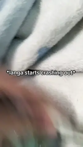 (I have nothing to post)  me and langa love reki to we start gooning/J #sk8theinfinity #saygex #rekikyan #langahasegawa #rengacanon #rengacanon #renga #rengacanon #rengacanon 