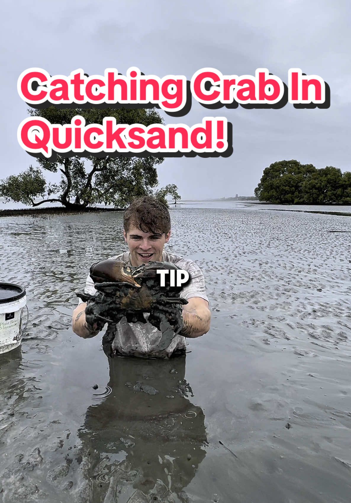 Catching quicksand in crabs in Australia! 🦀 