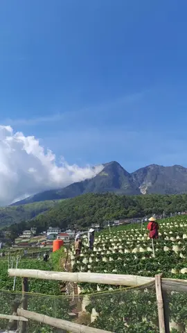 #tawangmangu #fyp 