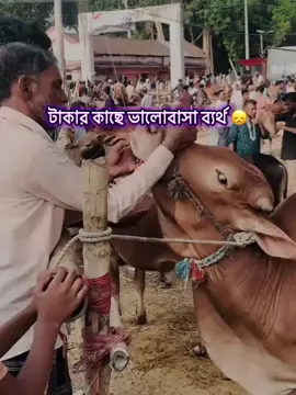 টাকার কাছে ভালোবাসা ব্যর্থ😫😓#ITS_ZIHAD #unfrezzmyaccount #foryou #viral #video @TikTok @#foryou 