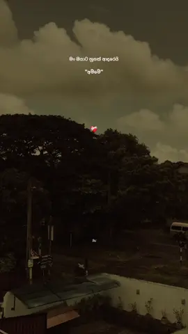 මං ඔයට හුගක් ආදරෙයි අම්මේ 🥺❤️‍🩹#fyp #quotes #srilanka #dil #trending 