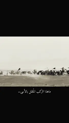 خروج الامام الحسين  ضعن الامام الحسين  ستوريات ضعن الامام الحسين المختار الثقفي ضعن الامام الحسين #ضعن_الامام_الحسين  #الامامالحسين  #المختار_الثقفي  #خروج_الامام_الحسين  #ميرزا_محمد_السعيدي 
