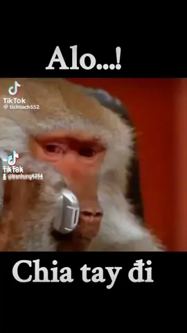 Alo...CHIA TAY ĐI #tiktoklivethailand #tiktokfashionweek💔💔💔💔💔💯 #xuhuongtiktotim❤cslk❤ #XUHUONGTIKTOT #TikTokLIVE #CapCut #tiktokfashiontok  TIKTOK GIẢI TRI 