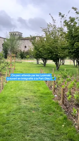 Le parc Nelson-Mandela, dans le quartier de la Part-Dieu à Lyon (3e), a fait peau neuve ! Aire de jeux requalifiée, agrès sportifs, 450 nouveaux arbres ou encore toute nouvelle aire canine, l’esplanade Mandela est ouverte en intégralité depuis peu 🌳 #Lyon #fyp #parc 