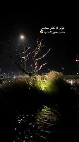 #تصويري #رشه_عطر #رشة_عطر #حسن_الاميري#العراق