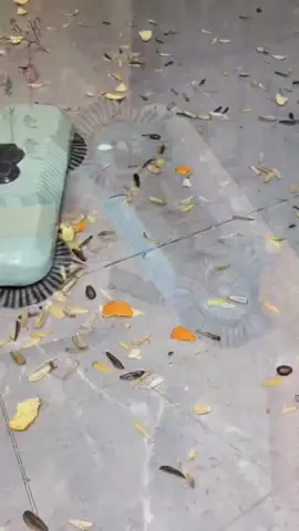 CHỔI ĐẦY THÔNG MINH#giadungtienich #xuhuongtiktok #greentech #trending #donnha #choilaunha 