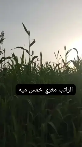 #ولايك_ومتابه #اكسبلور 