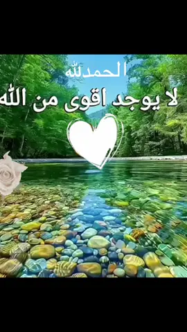 #لا يوجد اقوى من الله فمن توكل على الله لن يخيب امله #كلام #كلام_في_الصميم #كلام_جميل #كلمات #كلمات_من_القلب #خواطر_للعقول_الراقية #دعا #دعاء_يريح_القلوب_ويطمئن_النفوس #اللهم_صلي_على_نبينا_محمد #اللهم_امين_يارب_العالمين #اكسبلور #اكسبلور 